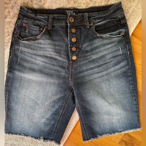 Time and Tru Bermuda shorts - button fly